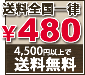 送料全国一律480円 4,200円以上で送料無料