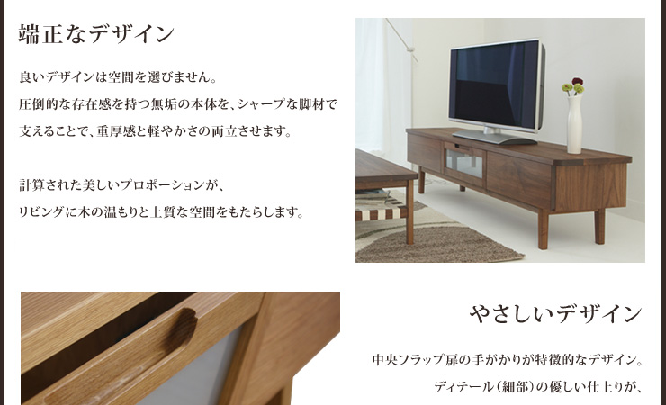 FLEXテレビボード メイン画像02