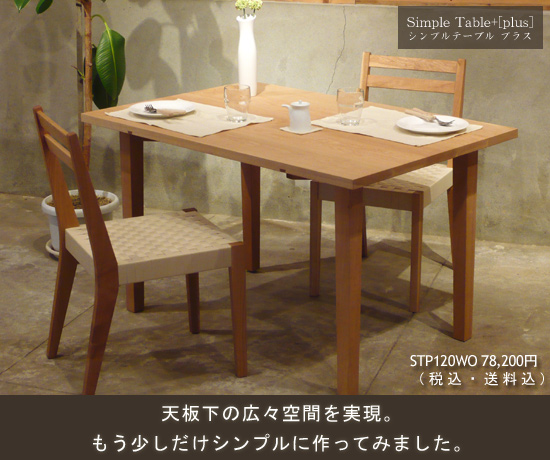 �V���v���e�[�u��+[plus]120�i�i���j
