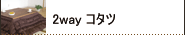 2Way �R�^�c