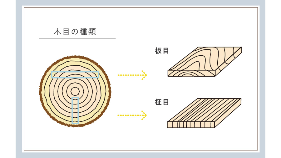 木目の種類